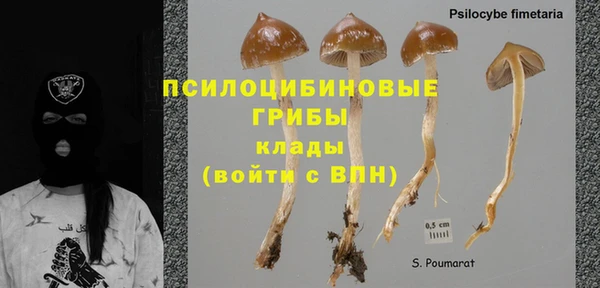 ПСИЛОЦИБИНОВЫЕ ГРИБЫ Балахна