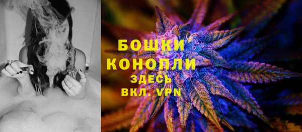 ПСИЛОЦИБИНОВЫЕ ГРИБЫ Балахна
