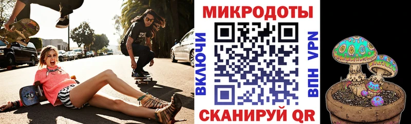 Галлюциногенные грибы Cubensis  Горно-Алтайск 